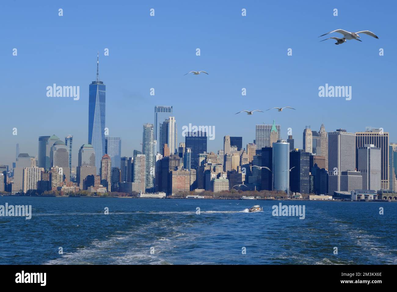 The view of New York City with seabirds from Staten Island ferry in Upper New York Bay.New York City.USA Stock Photo