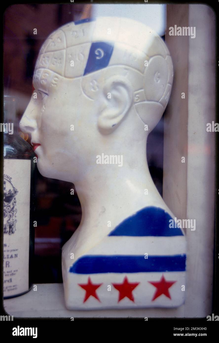 Phrenology model , Phrenology, Models. Edmund L. Mitchell Collection ...