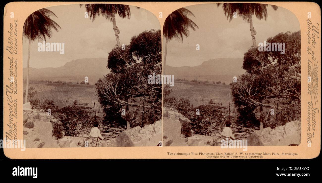 The picturesque Vive Plantation (Clerc estate) S.W. to steaming Mont