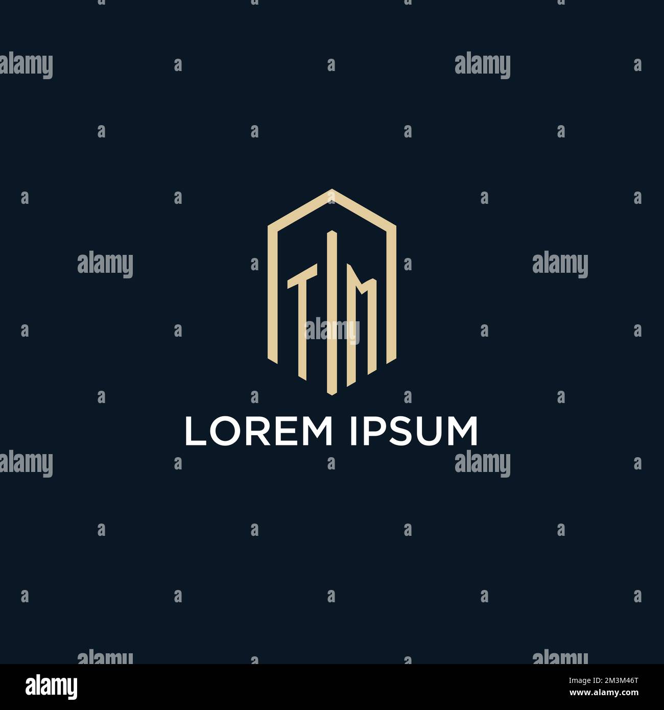 TM initial monogram logo with hexagonal shape style, real estate logo design ideas inspiration vector Stock Vector