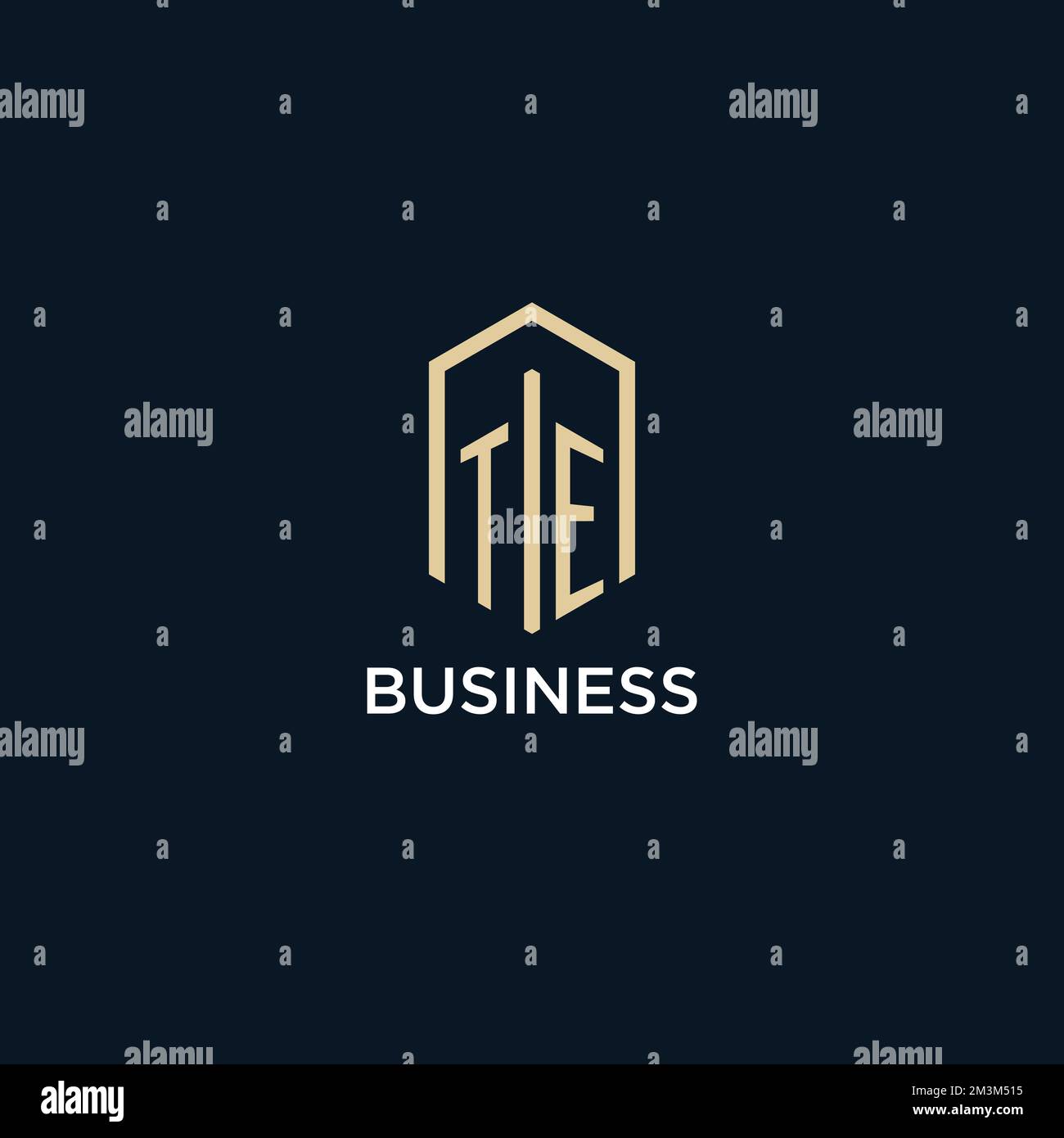 TE initial monogram logo with hexagonal shape style, real estate logo design ideas inspiration vector Stock Vector