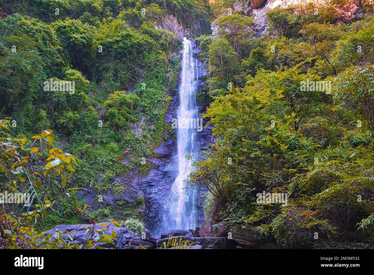 Among the lush vegetation, there is a white waterfall. 30 hectares of rice cultivation area. Yushan Nan'an Visitor Center, Hualien, Taiwan. 2022 Stock Photo