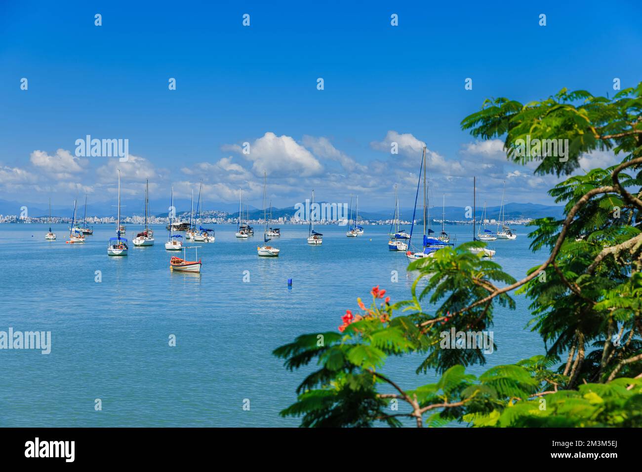 Floripa brazil hi-res stock photography and images - Alamy