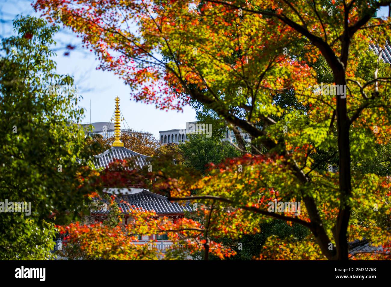 Koshoji Temple in Nagoya, Aichi, Japan Stock Photo