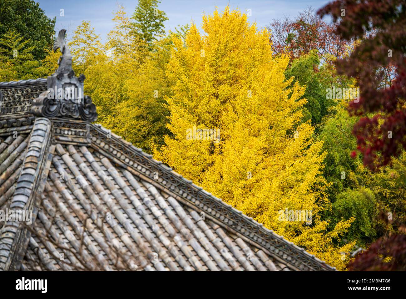 Koshoji Temple in Nagoya, Aichi, Japan Stock Photo - Alamy