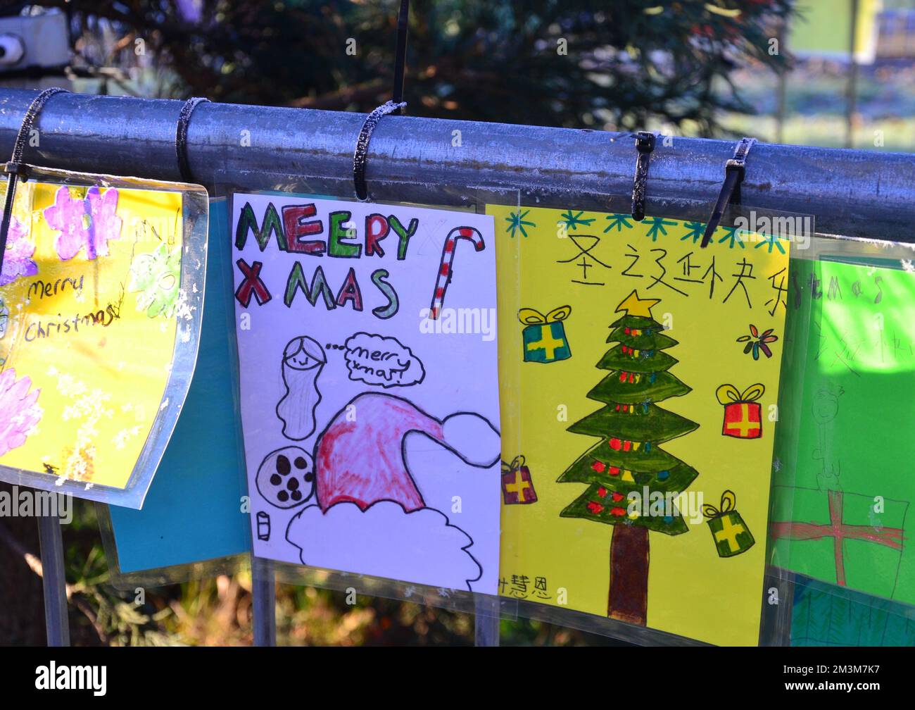 Manchester, UK, 16th December, 2022. Delightful Christmas cards created by children on display beside an Xmas tree in Ardwick Green park, Manchester, UK. Credit: Terry Waller/Alamy Live News Stock Photo