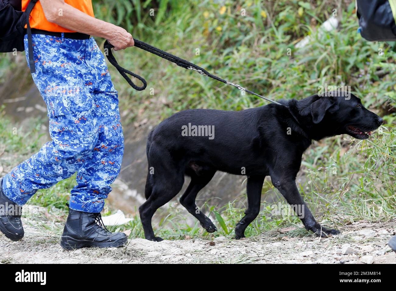 A rescue crew member uses a sniffer dog to aid in search for victims of landslide in Batang Kali, Selangor state, Malaysia December 16, 2022. REUTERS/Lai Seng Sin Stock Photo