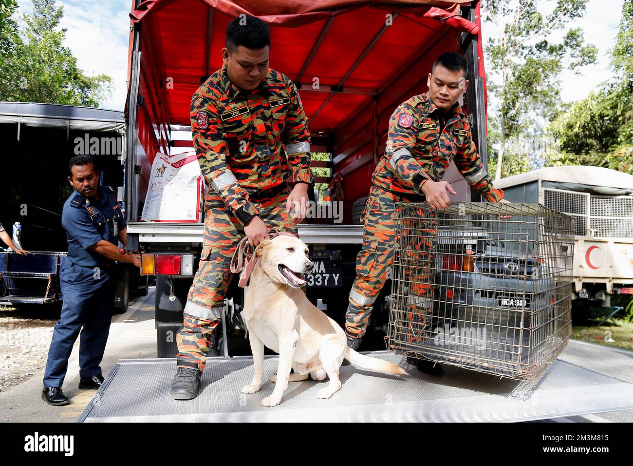 Rescue crews use a sniffer dog to aid in search for victims of landslide in Batang Kali, Selangor state, Malaysia December 16, 2022. REUTERS/Lai Seng Sin Stock Photo