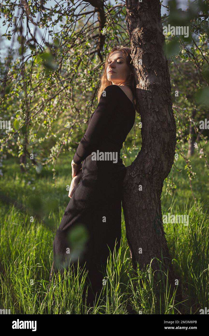 Young woman in black dress leaning against tree scenic photography Stock Photo