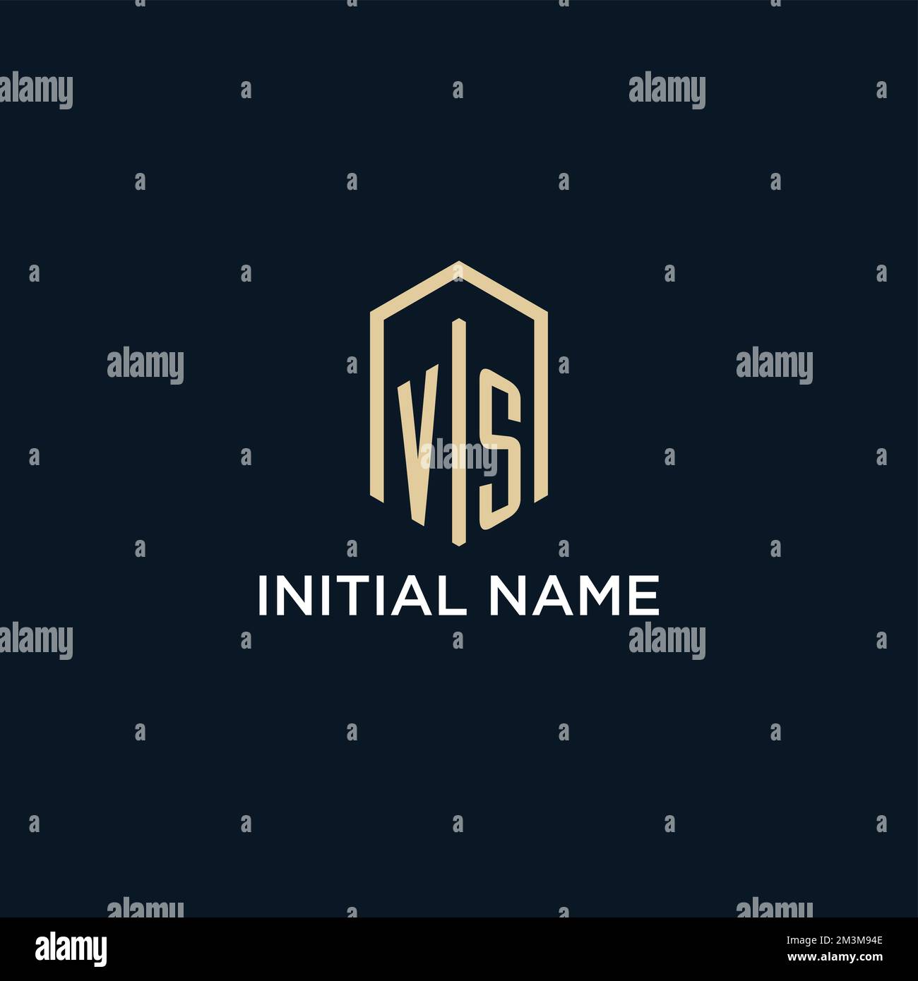 VS initial monogram logo with hexagonal shape style, real estate logo design ideas inspiration vector Stock Vector