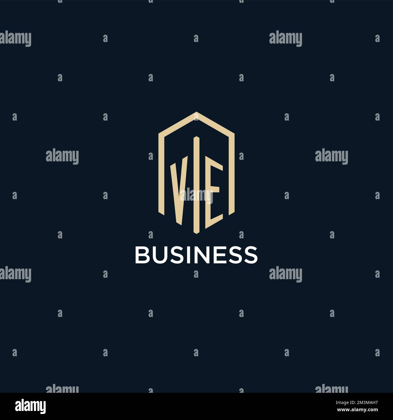 VE initial monogram logo with hexagonal shape style, real estate logo design ideas inspiration vector Stock Vector