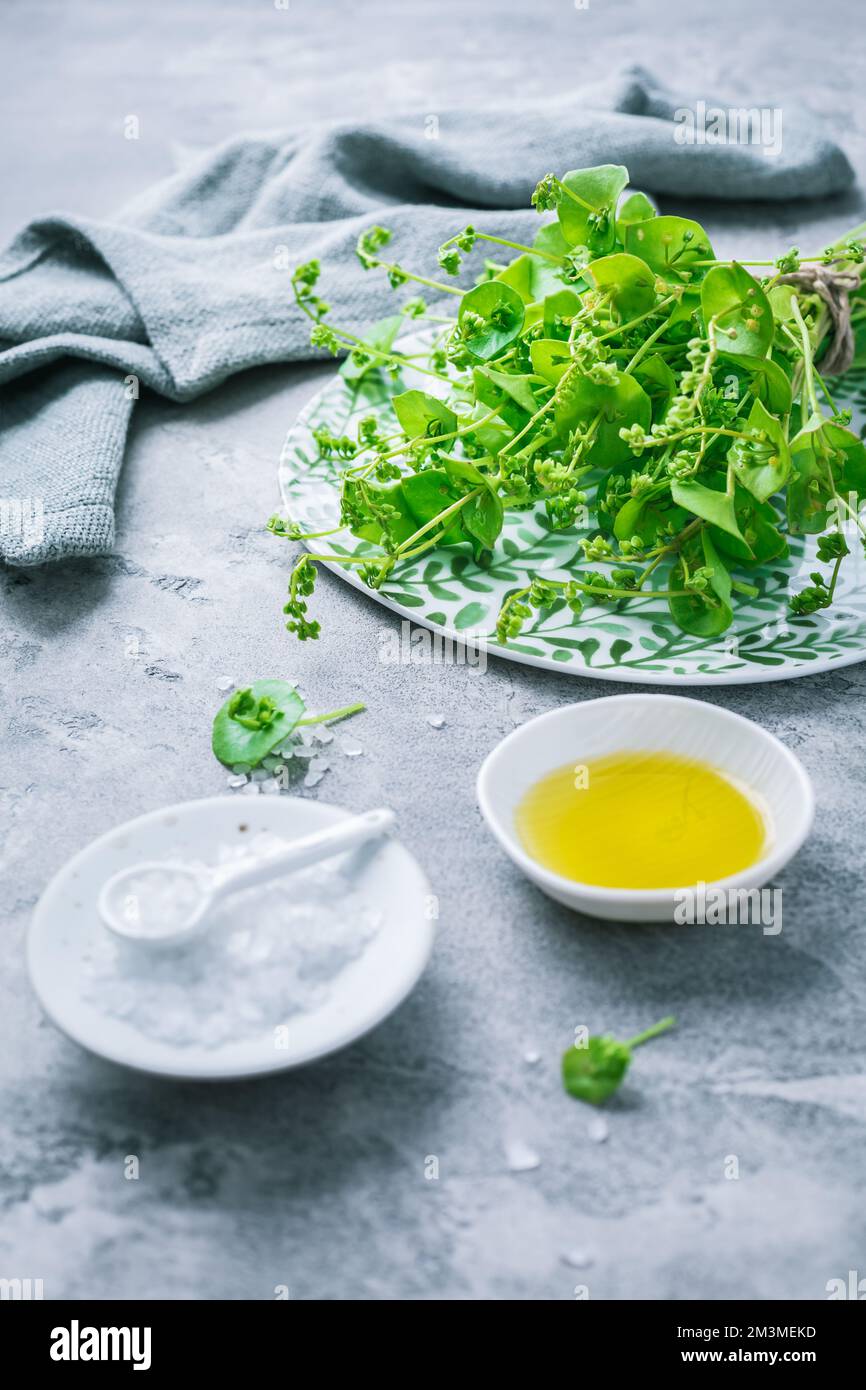 Winter purslane, Indian lettuce, with olive oil and salt. Claytonia perfoliata Stock Photo