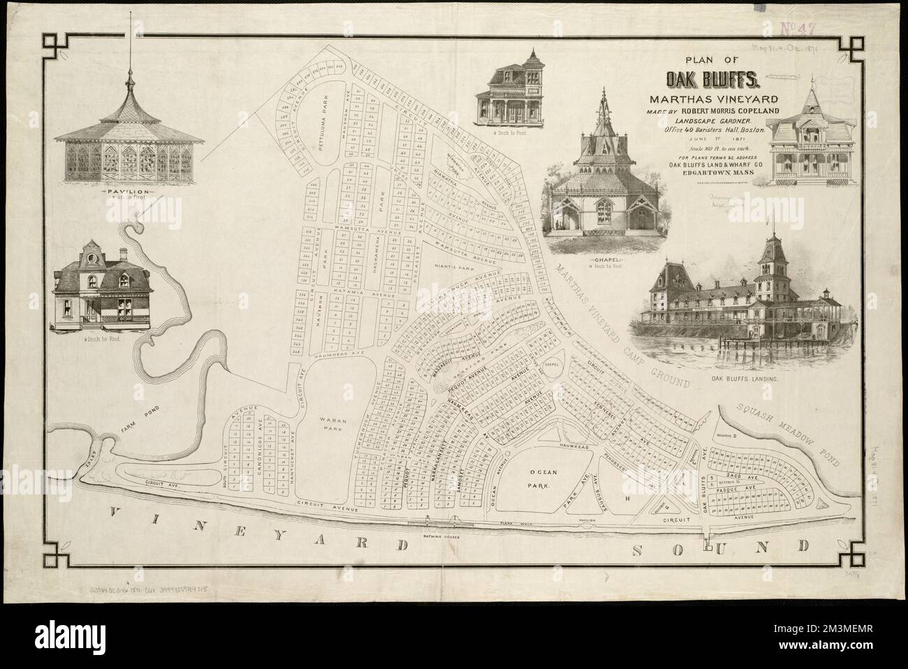 Plan of Oak Bluffs, Marthas Vineyard , Real property, Massachusetts, Oak Bluffs, Maps, Oak