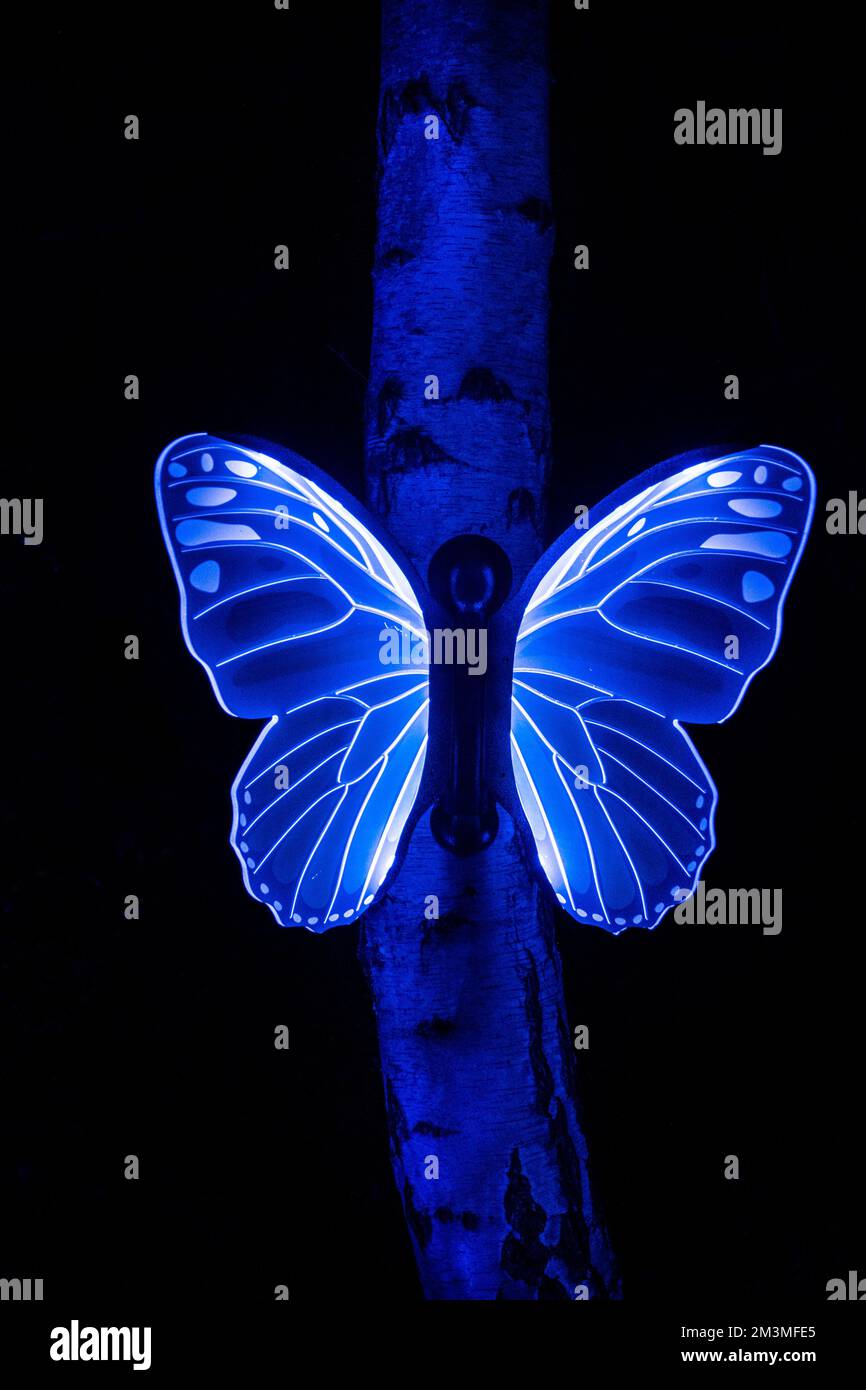 Illuminated flouresent butterflies on a tree. Stock Photo