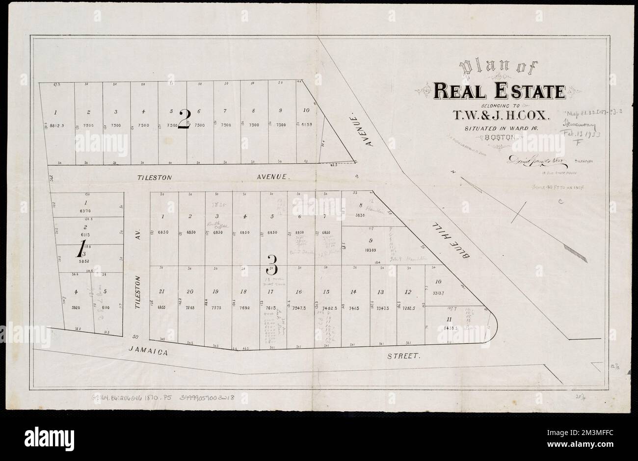 Plan of real estate belonging to T.W. & J.H. Cox situated in ward 16, Boston , Real property