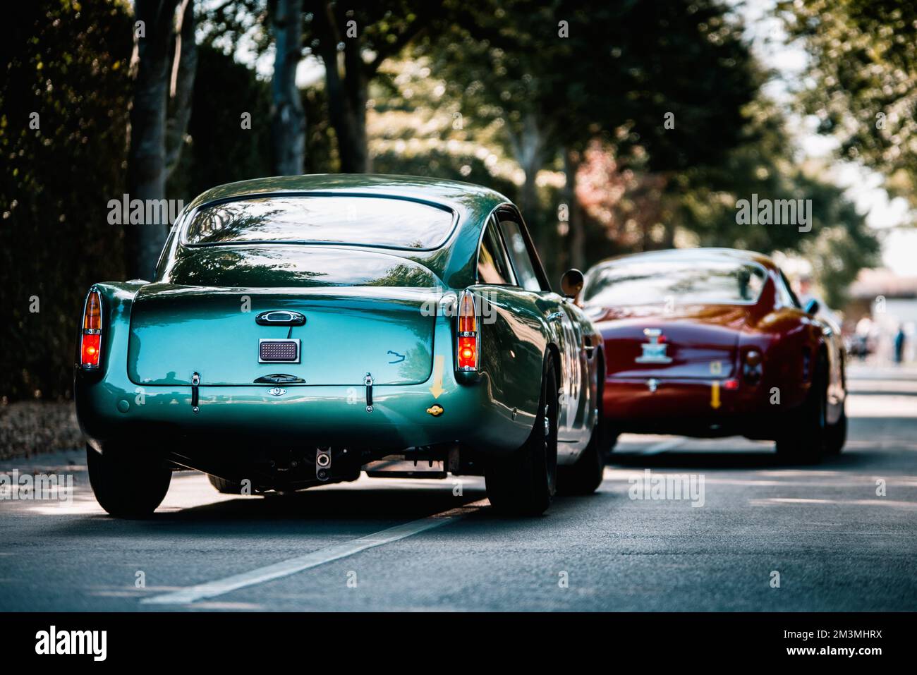 Vehicle Rear Shots Pair of Aston Martin DB4GT Race Cars - Rear Shot Stock Photo - Alamy