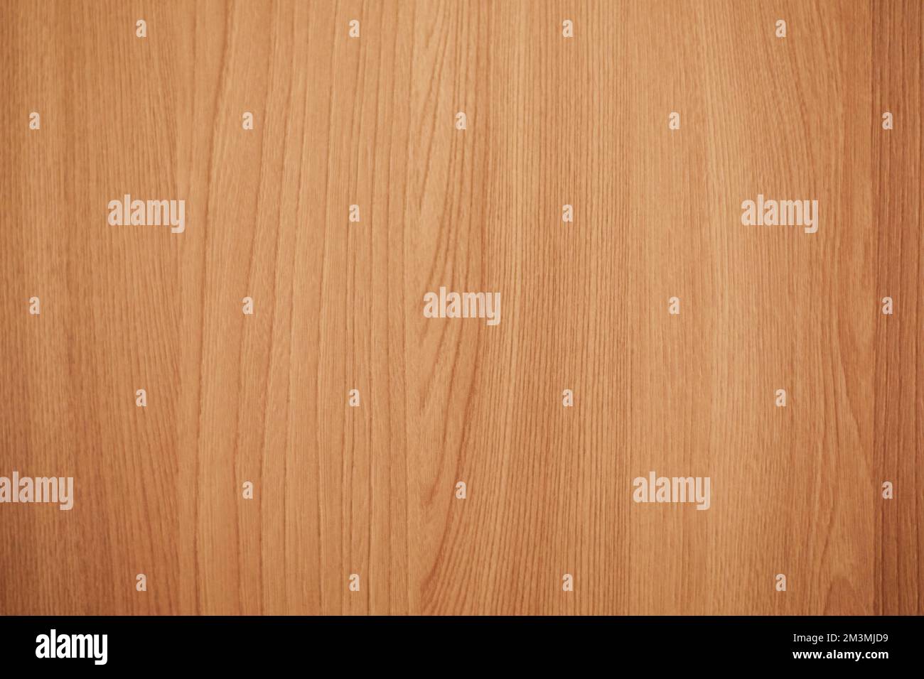 Natural wood light color texture background. Wood texture with natural