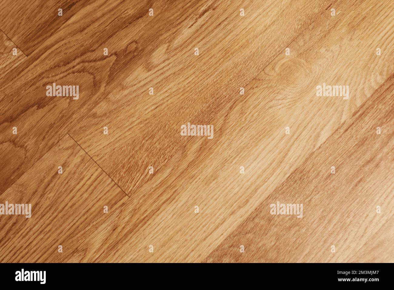 Natural wood light color texture background. Wood texture with natural