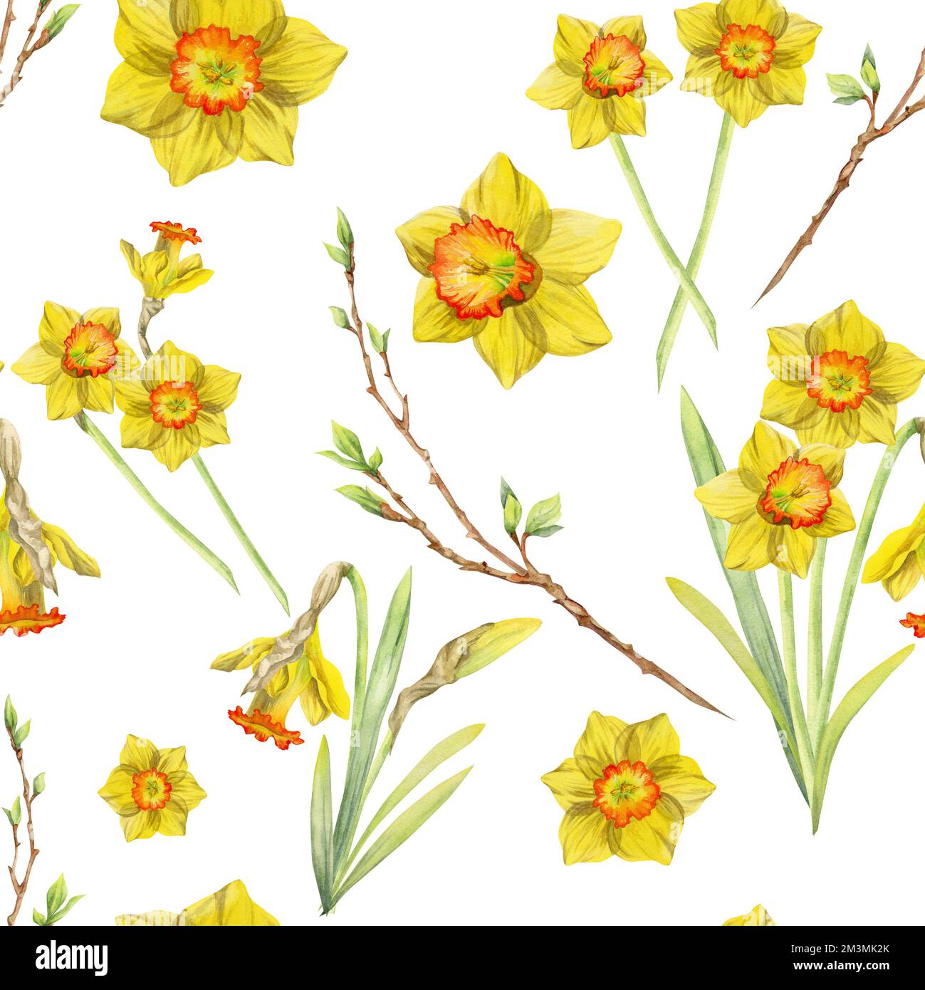 Watercolor hand drawn seamless pattern with spring flowers, daffodils ...