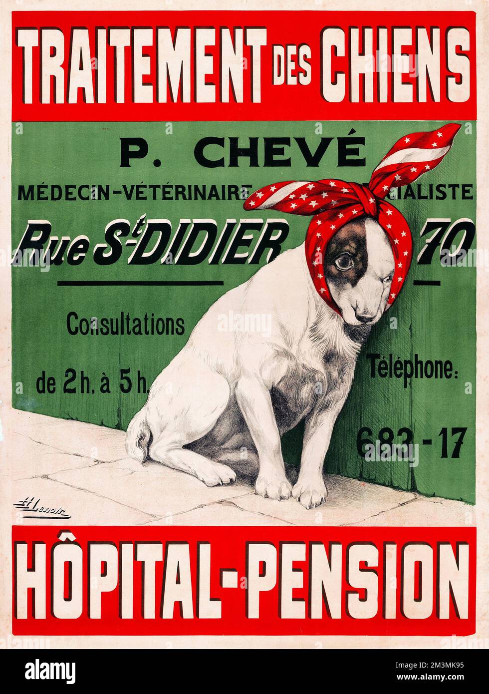 Dog treatment - Traitement Des Chiens (1910s). French Advertising Poster. Henri Lenoir Artwork Stock Photo