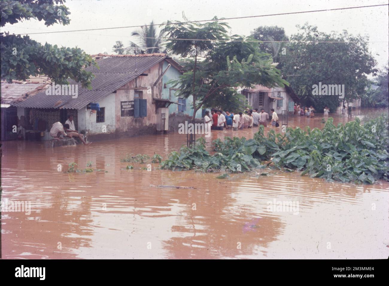effects-of-floods