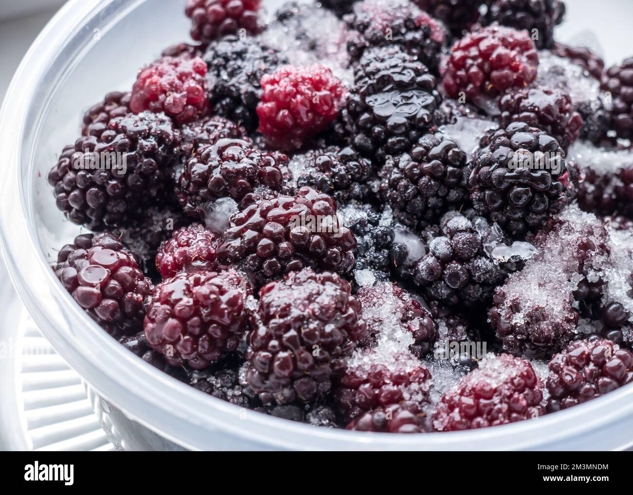 Frozen blackberry. Stock Photo