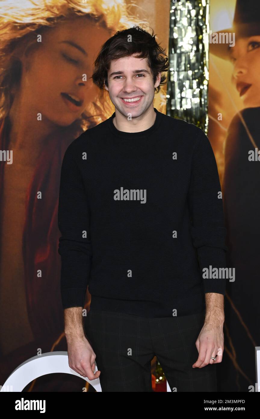 Los Angeles, USA. 15th Dec, 2022. David Dobrik at the premiere for ...