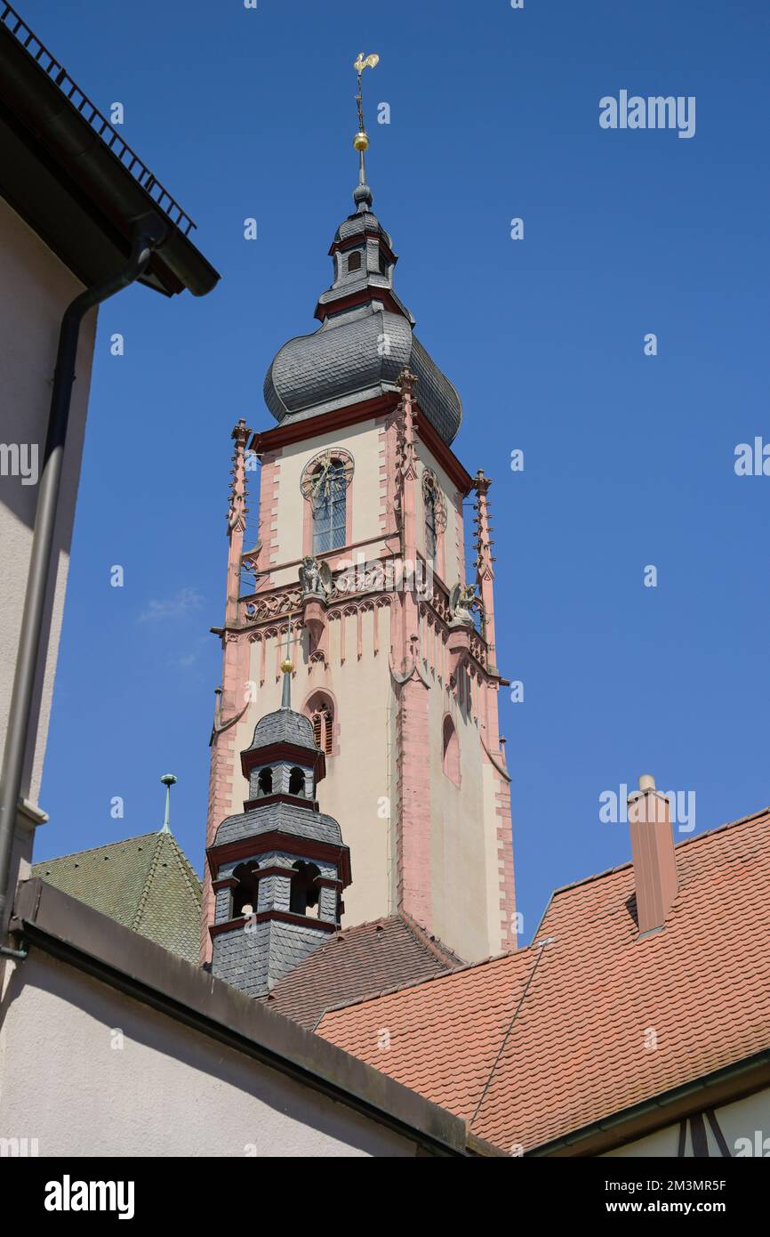 Gebäude Am Schlossplatz, Kirchturm, St. Martin Kirche, Altstadt ...