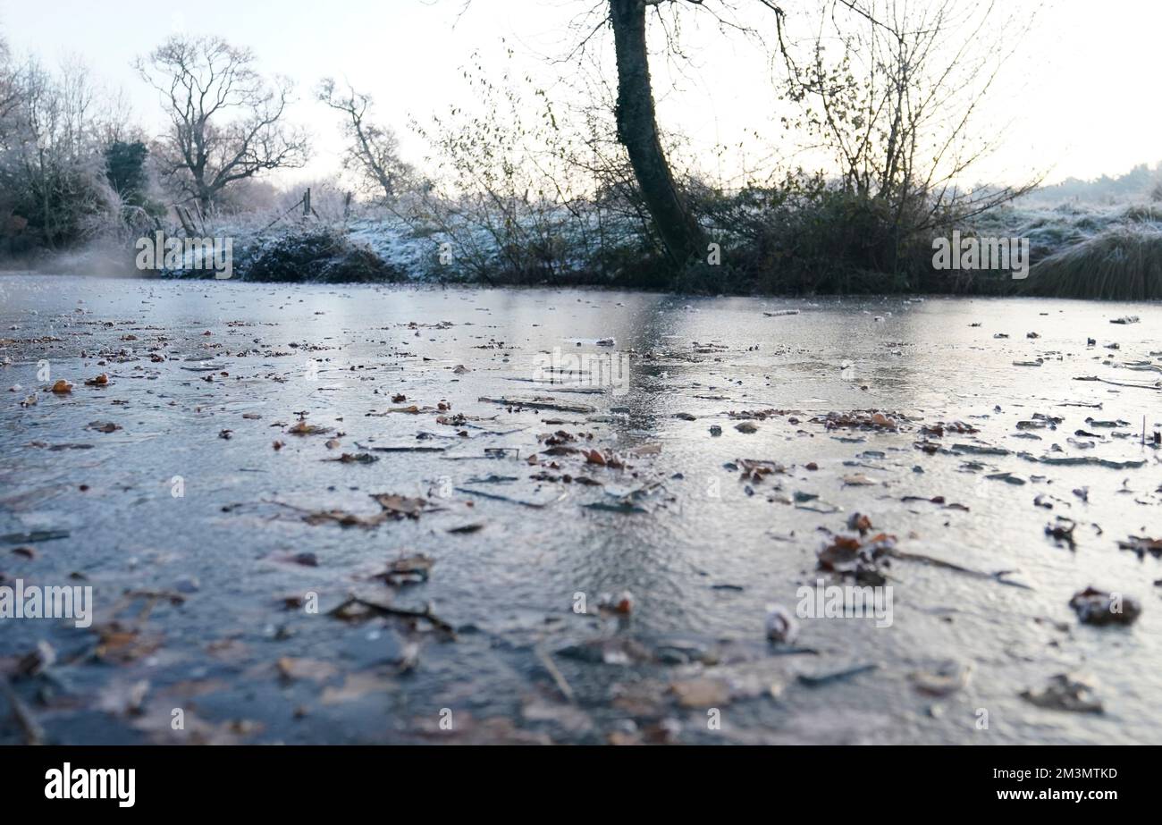 A layer of ice covers the Basingstoke Canal near Dogmersfield in