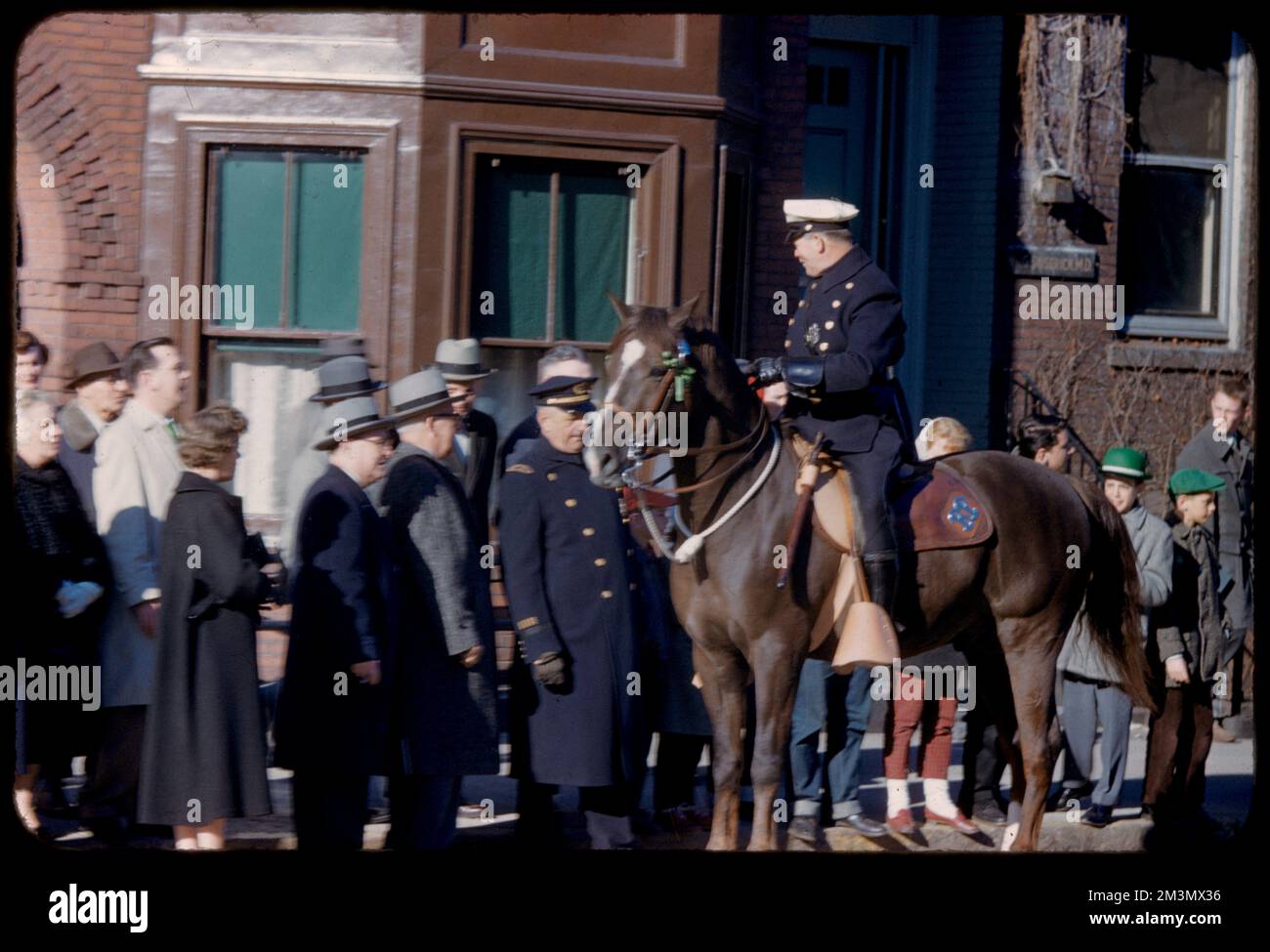 Police horse, parade, South Boston , Parades & processions, Horses, Police, Holidays, Saint Patrick's Day, Evacuation Day, Boston, Mass., 1776. Edmund L. Mitchell Collection Stock Photo