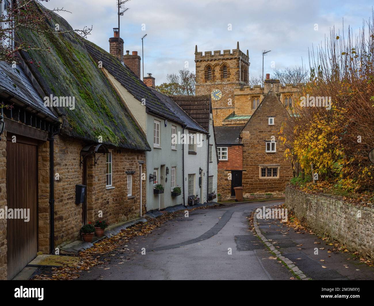 Traditional village scene, Mears Ashby, Northamptonshire, UK; road lined with trees and houses and church tower in the middle distance. Stock Photo