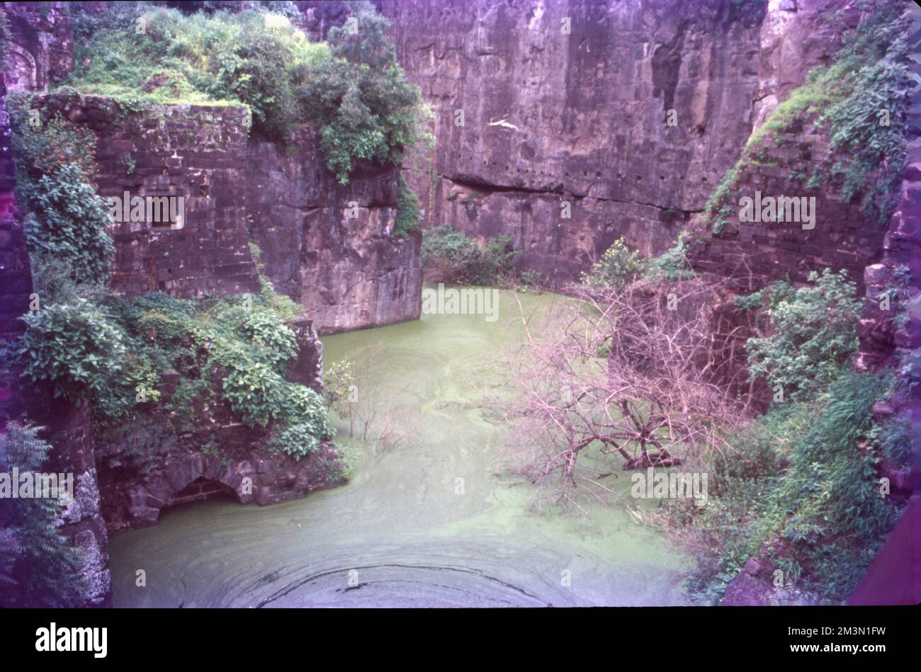 Algae is an informal term for a large and diverse group of photosynthetic eukaryotic organisms. It is a polyphyletic grouping that includes species from multiple distinct clades. Algae usually are identified with the color green. Stock Photo