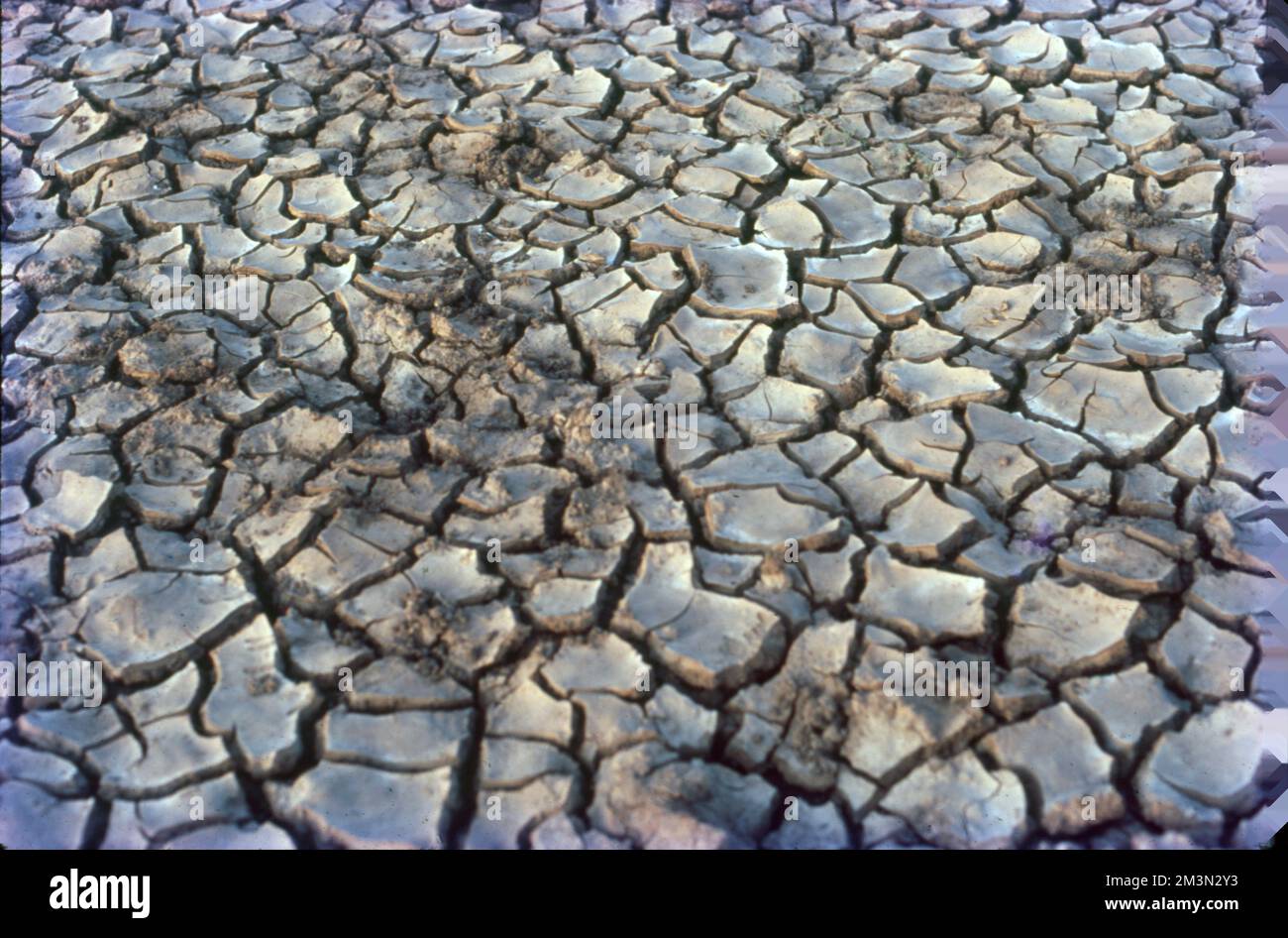 Parched land hi res stock photography and images Alamy