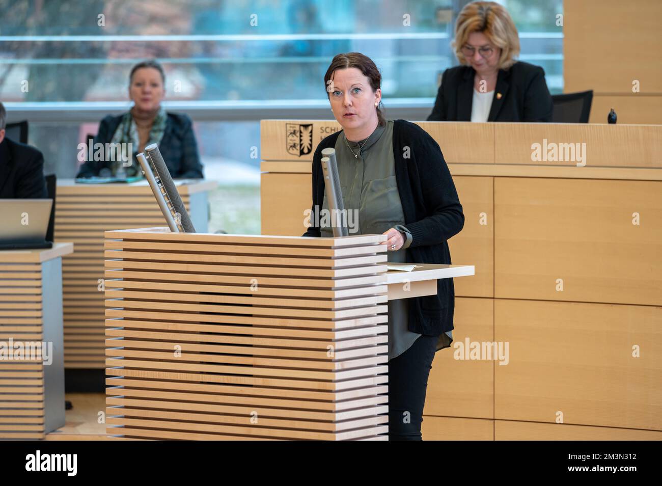 Plenarsitzung im Landeshaus Kiel die Abgeordnete Sybilla Nitsch vom SSW bei ihrer Rede Stock Photo