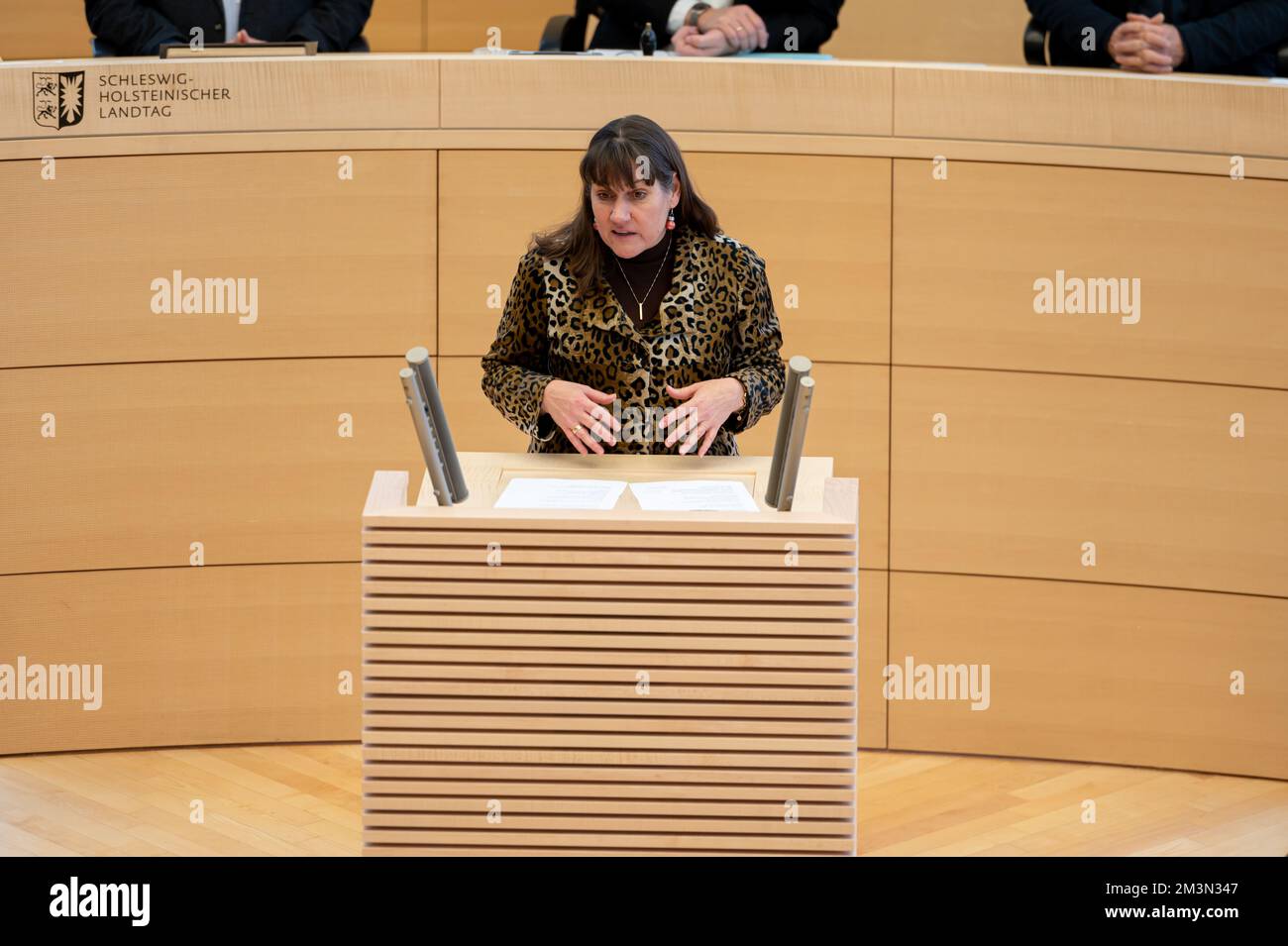 Plenarsitzung im Landeshaus Kiel die Abgeordnete Beate Raudies bei ihrer Rede vor dem Plenum Stock Photo