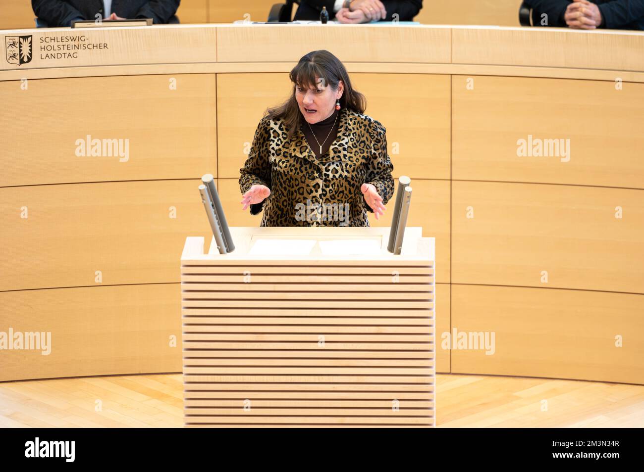 Plenarsitzung im Landeshaus Kiel die Abgeordnete Beate Raudies bei ihrer Rede vor dem Plenum Stock Photo