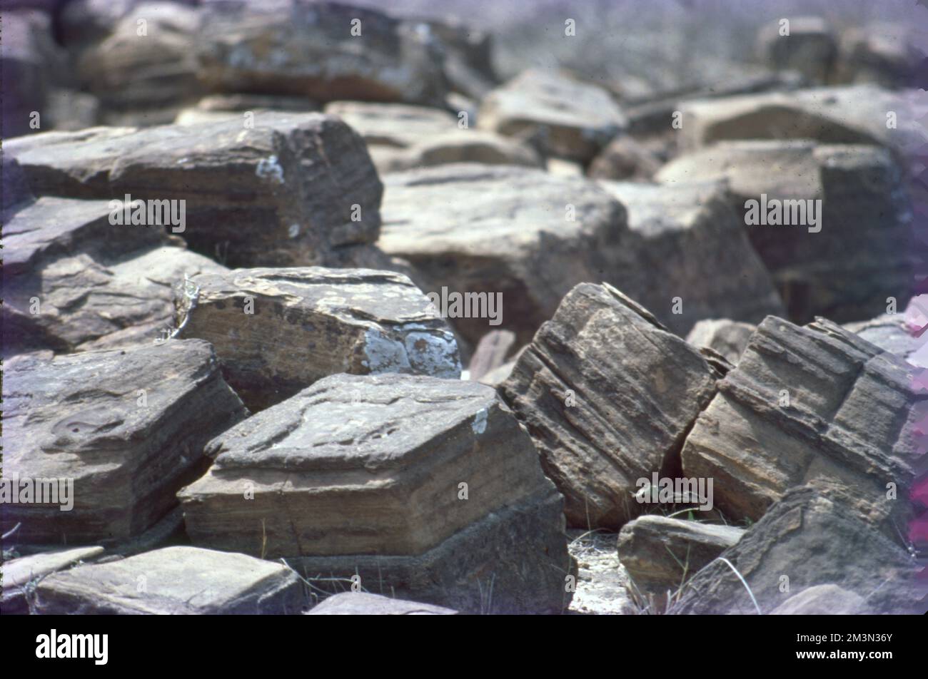 Erosion is the geological process in which earthen materials are 
