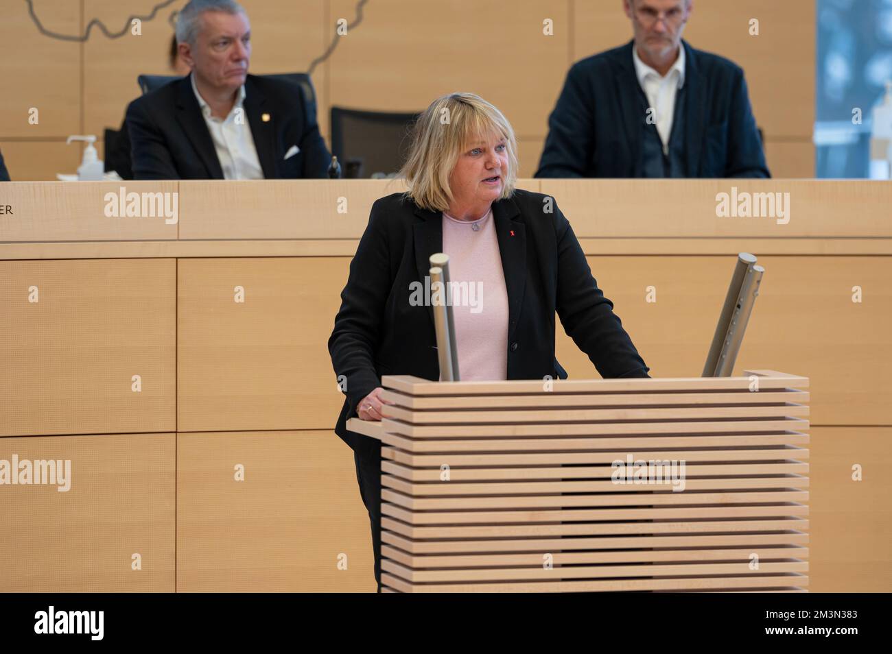 Plenarsitzung im Landeshaus Kiel die Abgeordnete Katja Rathje-Hoffmann bei Ihrer Rede Stock Photo