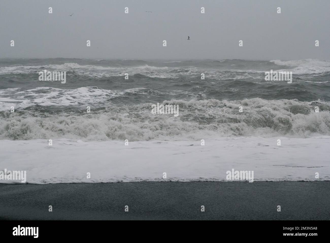 Ocean foam on beach monochrome landscape photo Stock Photo