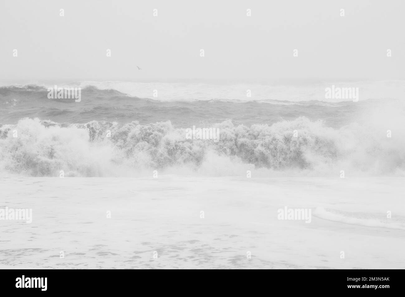 Waves with fluffy foam monochrome landscape photo Stock Photo