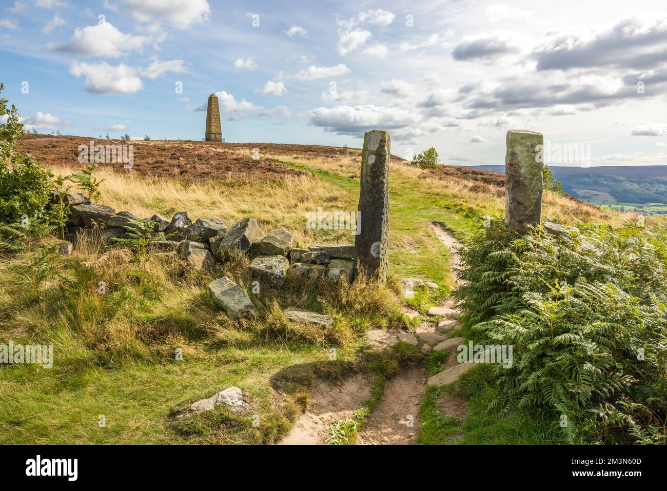Footpath leading to Captain Cook's Monument, North Yorkshire Moors, North Yorkshire, UK Stock Photo