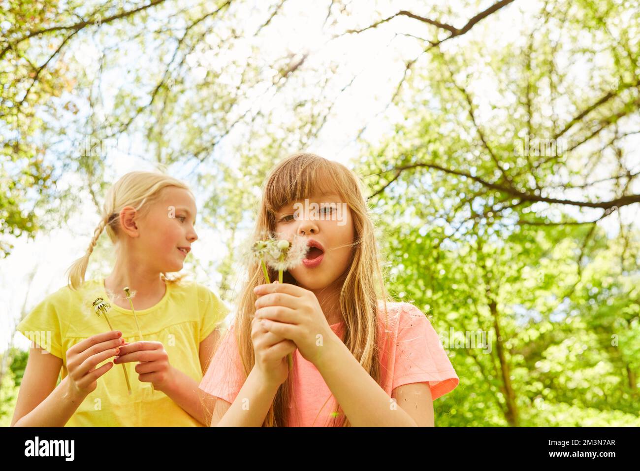 Girl blowing dandelions by female friend while standing in garden during vacation Stock Photo