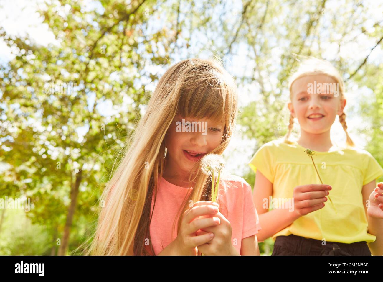 Smiling elementary girl blowing dandelion by friend in park during summer vacation Stock Photo
