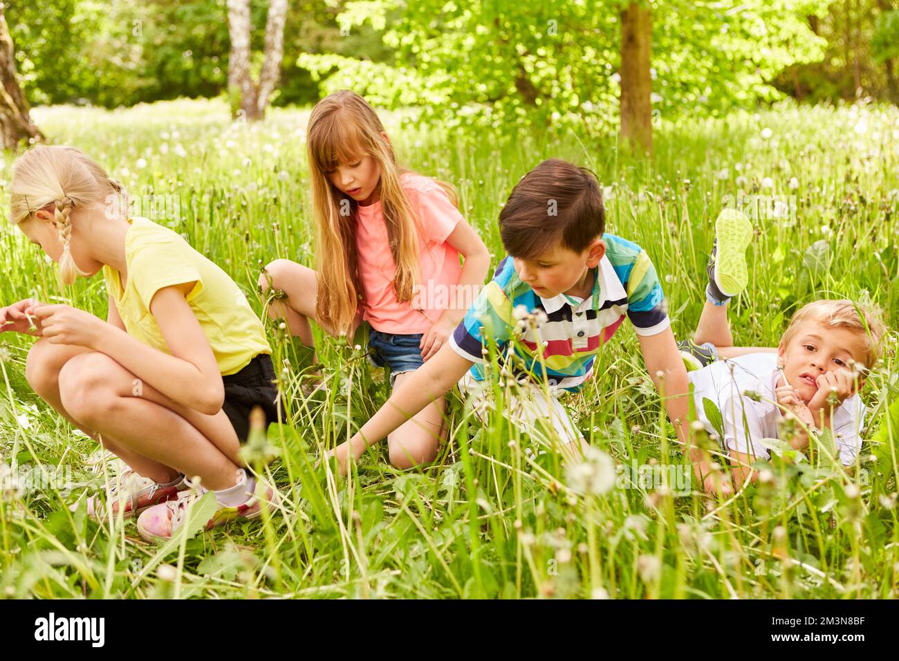 Flower picking garden hires stock photography and images Alamy
