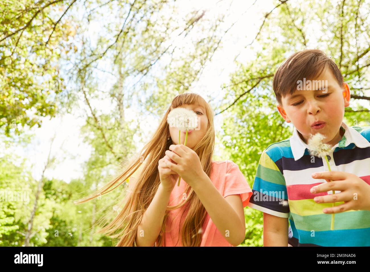 Multiracial male and female friends blowing dandelions while standing in garden Stock Photo