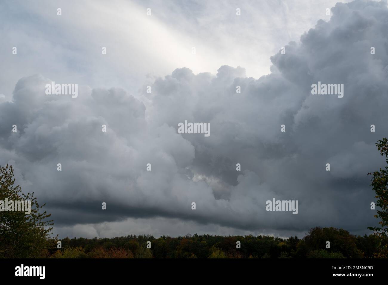 Large dark clouds in the gray sky over a green forest Stock Photo - Alamy