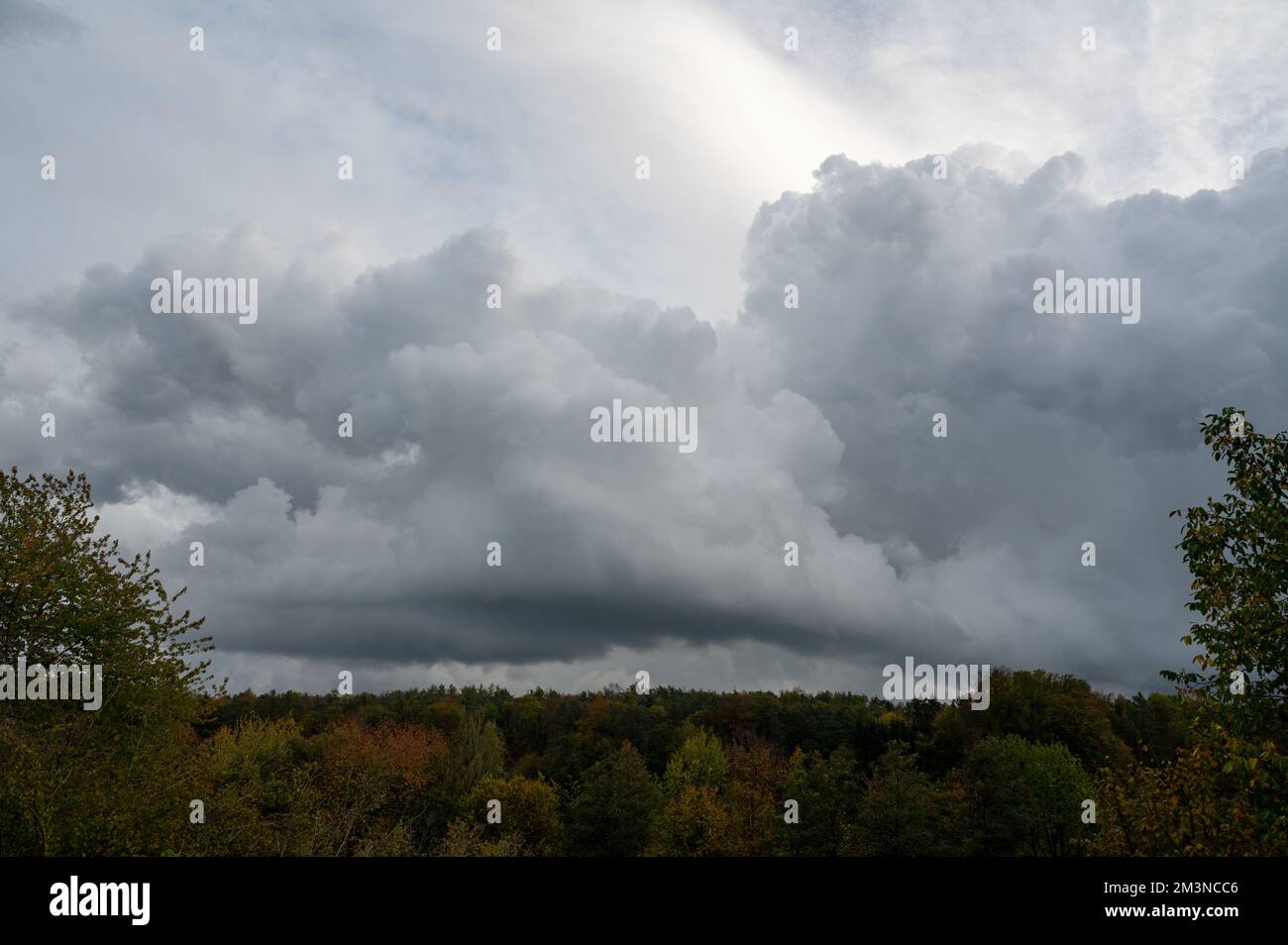 Large dark clouds in the gray sky over a green forest Stock Photo - Alamy