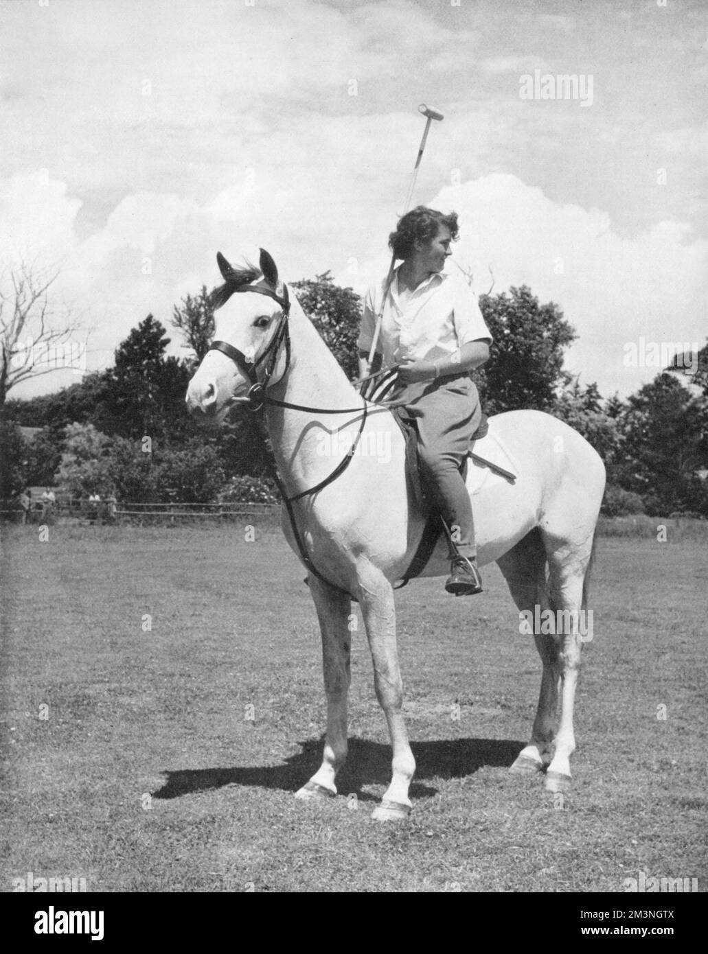 Polo player Stock Photo
