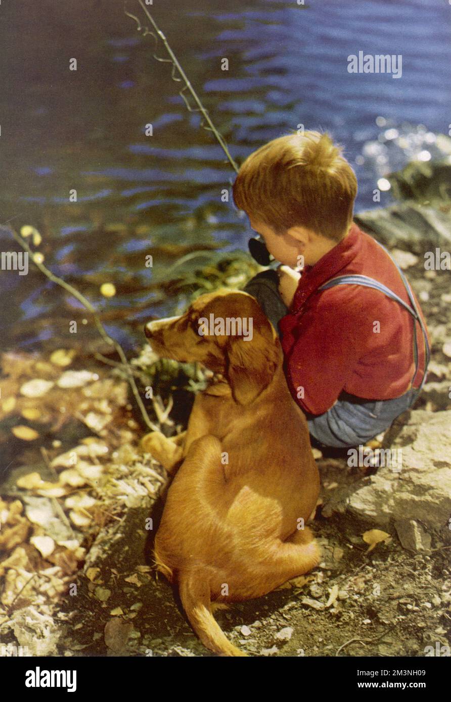 A little boy wearing dungarees fishes patiently, accompanied by his pet dog.     Date: 1954 Stock Photo
