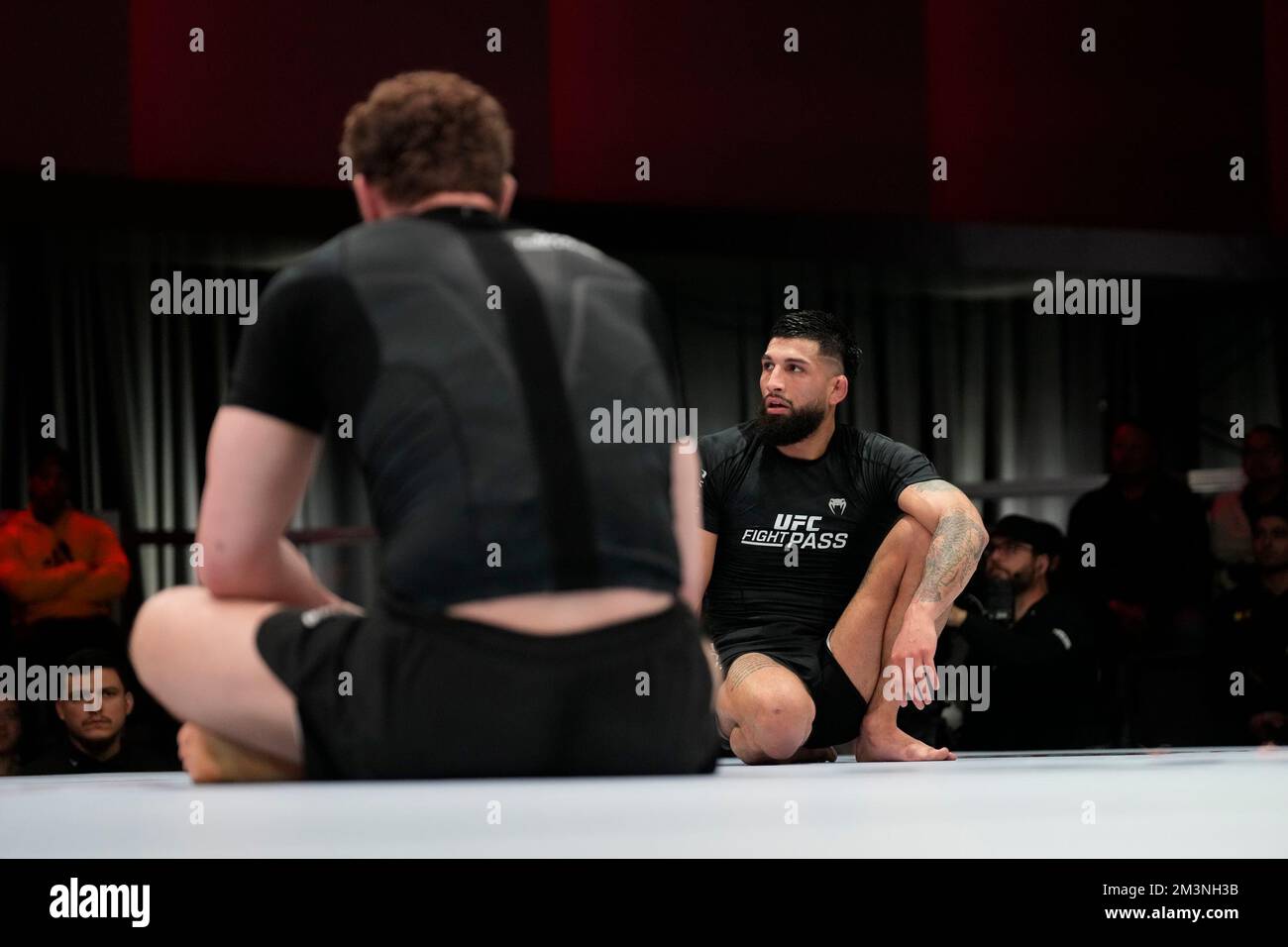 Ultimate fighting champ hi-res stock photography and images - Alamy